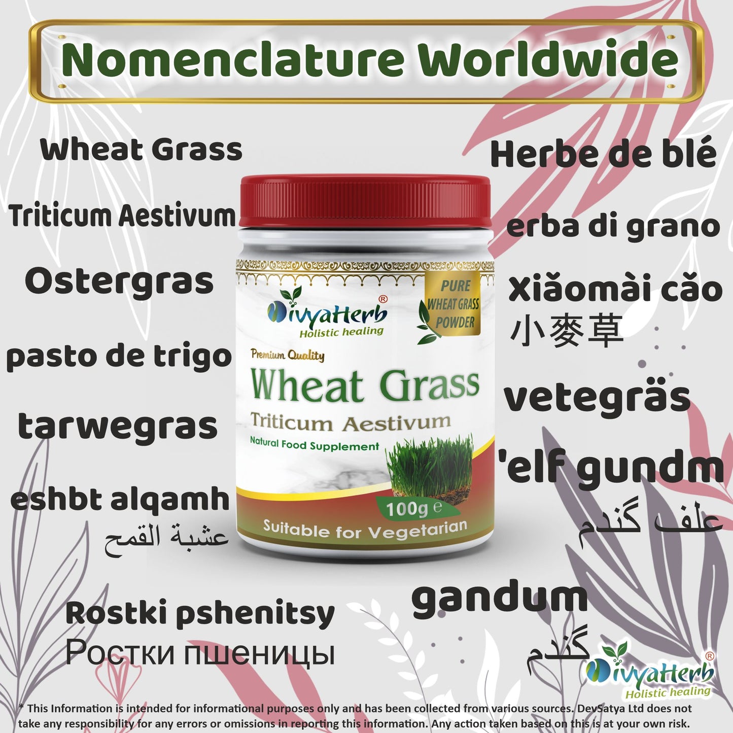 Wheat Grass Powder Synonyms Vernacular Names