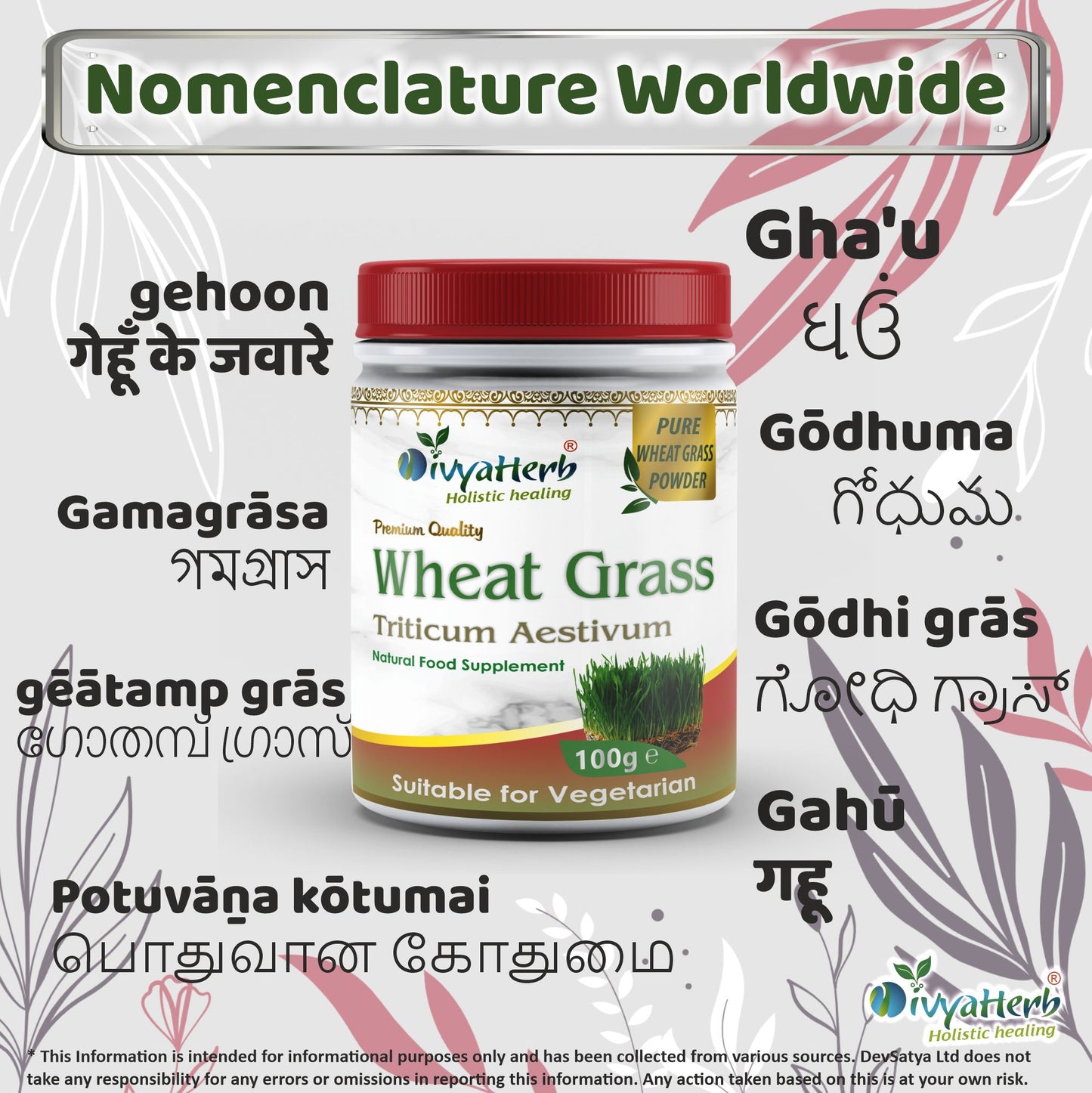 Wheat Grass Powder Regional Names Synonyms 