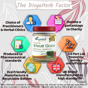 Wheat Grass Powder Why DevSatya Aushadh Ayushya DvyaHerb