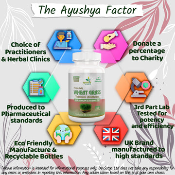 Capsule d'herbe de blé