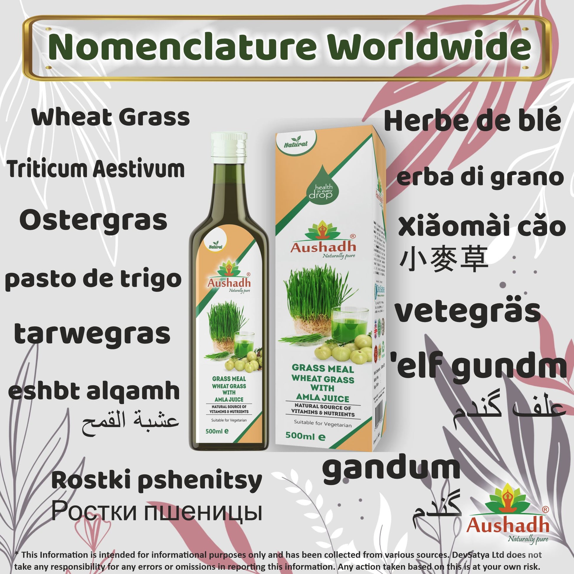 Wheatgrass Amla Juice Synonyms Vernacular Names